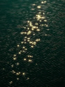 Glistening sunlight sparkling on dark green water ripples, symbolizing how to manage emotional triggers and find inner calm before reacting automatically.