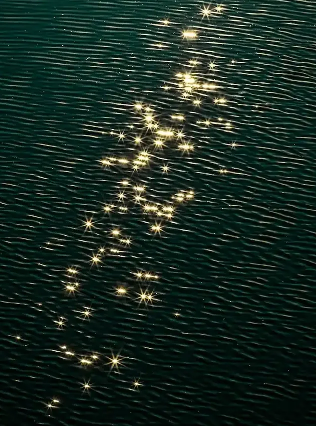 Glistening sunlight sparkling on dark green water ripples, symbolizing how to manage emotional triggers and find inner calm before reacting automatically.