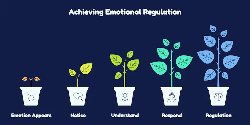 Emotional regulation process showing emotion, notice, understand, respond, and regulation.