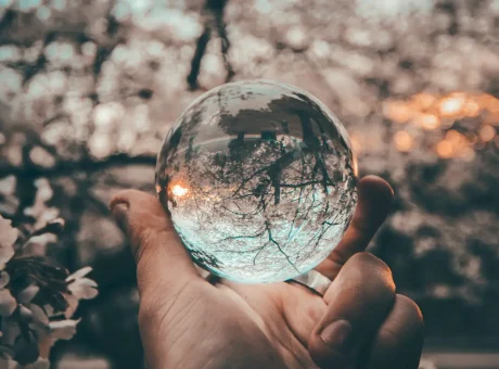 A hand holding a clear crystal glass ball reflecting sharp tree branches, symbolizing deep self-reflection and understanding yourself.